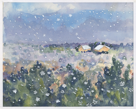 Snowflakes